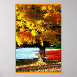 Esplendor do outono posters