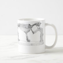Esqueleto animal pré-histórico do Megatherium Caneca