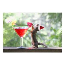 Esquilo do Natal que bebe um cocktail Foto Arte