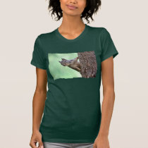 Esquilo em uma árvore t - shirts
