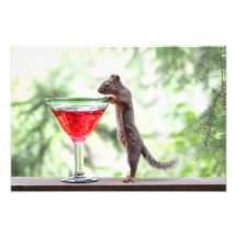 Esquilo que bebe um cocktail arte de fotos