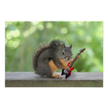 Esquilo que joga a guitarra elétrica foto