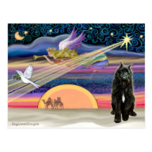 Estrela do Natal - Bouvier Cartão Postal