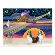 Estrela do Xmas - dois Shelties Cartões Postais