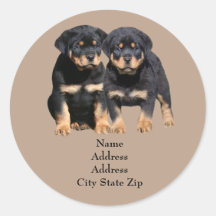 Etiqueta de endereço dos amigos de Rottweiler Adesivo Redondo