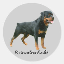 Etiqueta de Rottweiler Adesivos Em Formato Redondos