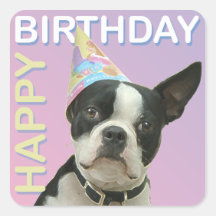 Etiqueta do aniversário de Boston Terrier Adesivos