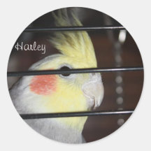 Etiqueta do pássaro de Harley Adesivos Redondos