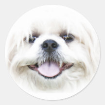 Etiqueta feliz da cara do cão adesivo redondo