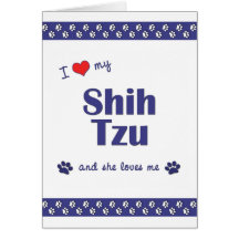 Eu amo meu Shih Tzu (o cão fêmea) Cartões