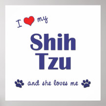 Eu amo meu Shih Tzu (o cão fêmea) Impressão