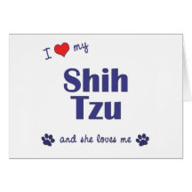 Eu amo meu Shih Tzu (os cães fêmeas) Cartao