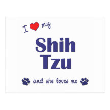Eu amo meu Shih Tzu (os cães fêmeas) Cartões Postais