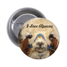 Eu amo o botão das alpacas boton