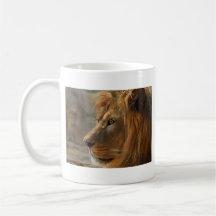 EU SOU REI CANECA
