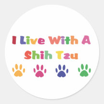 Eu vivo com um Shih Tzu Adesivo