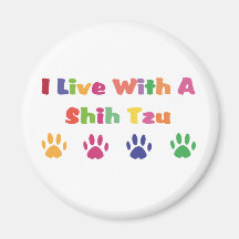 Eu vivo com um Shih Tzu Imã De Refrigerador