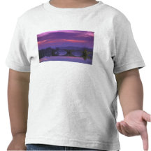 Europa, France, Provence, Avignon. Rua de Pont, T-shirts