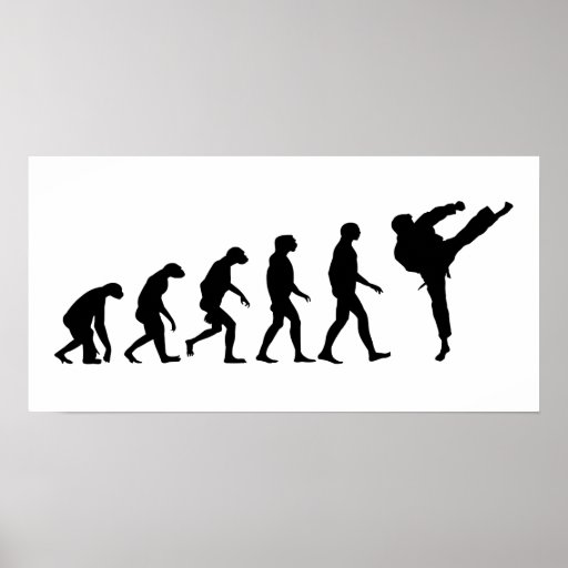 Evolução do karaté posters