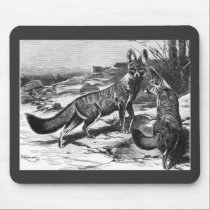 F.W. Kuhnert - Kama - Fox do cabo tapetes para ratos