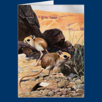 F.W. Kuhnert - pouco jerboa egípcio postais