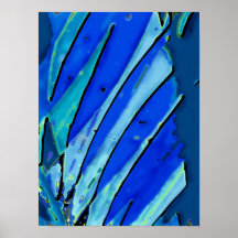 Fã azul poster