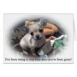 Faltando o cartão