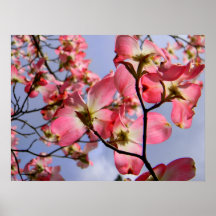 Fantasia cor-de-rosa 2 do Dogwood Pôsteres