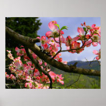 Fantasia cor-de-rosa 3 do Dogwood Posters