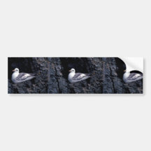 Fase do norte da luz do Fulmar Adesivos