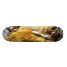 Felis Silvestris Catus de 3 gatos de casa do sono Skate Personalizado