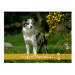 Feliz aniversario! - cartão do cão cartão postal