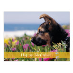 Feliz aniversario! - cartão do cão cartão postal