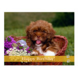 Feliz aniversario! - cartão do cão cartão postal