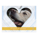 Feliz aniversario! - cartão do cão cartoes postais