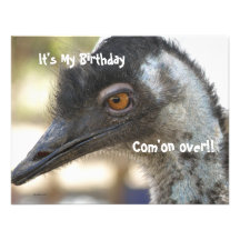 Festa de aniversário do Emu Convites Personalizados