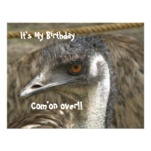 Festa de aniversário do Emu Convite Personalizado