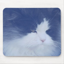 Fez alguém para dizer o mousepad do rato