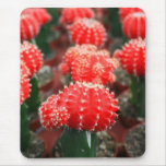 Fileira dos cactos Mousepad