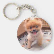 Filhote de cachorro chaveiro