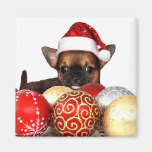 Filhote de cachorro da chihuahua do Natal Imãs De Geladeira