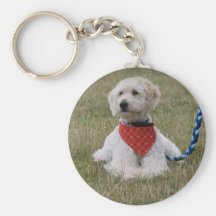 Filhote de cachorro de Labradoodle Chaveiros