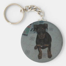 filhote de cachorro do doberman chaveiros