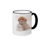 Filhote de cachorro do golden retriever na neve caneca