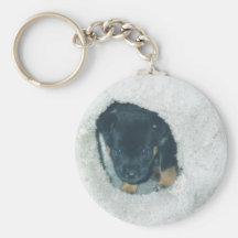 filhote de cachorro do maxie chaveiros