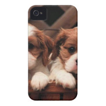 Filhotes de cachorro bonitos capa iPhone 4 Case-Mate