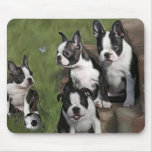 Filhotes de cachorro de Boston Terrier tapetes para ratos