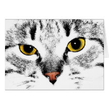 Fim da cara do gato acima cartões