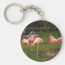 Flamingo Chaveiro