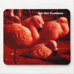 Flamingos encarnados mousepads